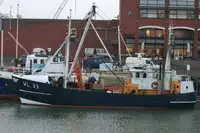 Trawler Te koop