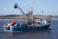 Purse seiner Te koop
