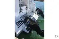 Catamaran te koop