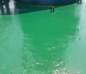 Bulkcarrier te koop