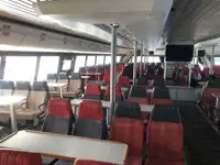 Catamaran te koop