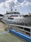 Bulkcarrier te koop