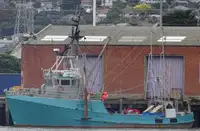 Trawler Te koop