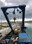 Werkboten te koop