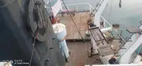 Bulkcarrier te koop