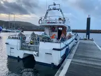Catamaran te koop
