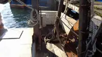 Trawler te koop
