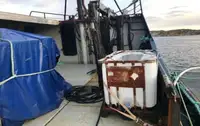 Trawler te koop