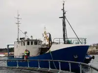 Trawler Te koop