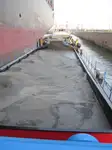 Barge te koop
