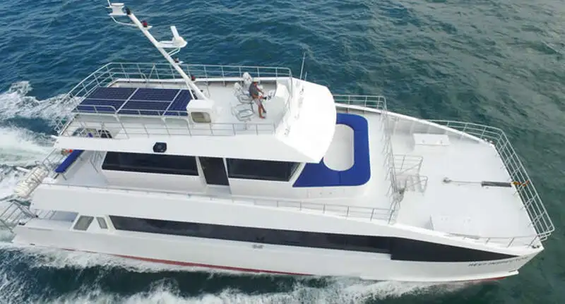 Catamaran te koop