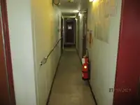 Koelschip te koop