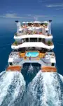 Catamaran te koop