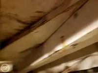Veerboot te koop