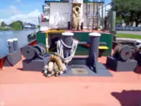 Sleperschip te koop