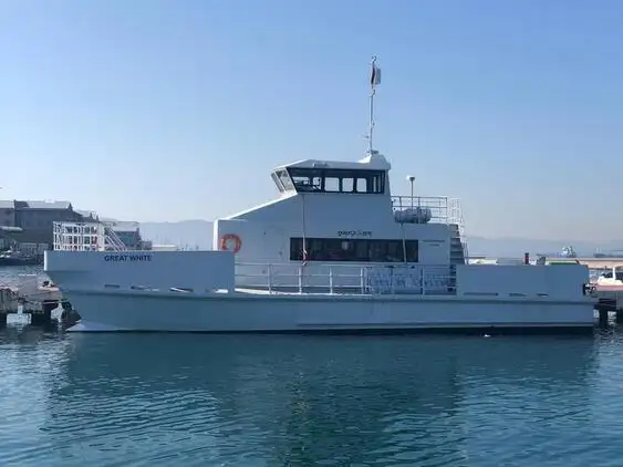 Catamaran te koop