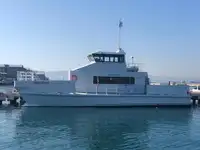 Catamaran Te koop