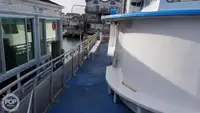 Catamaran te koop