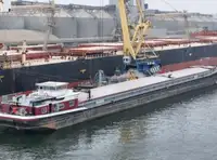 Bulkcarrier te koop