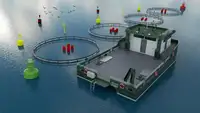 Catamaran Te koop