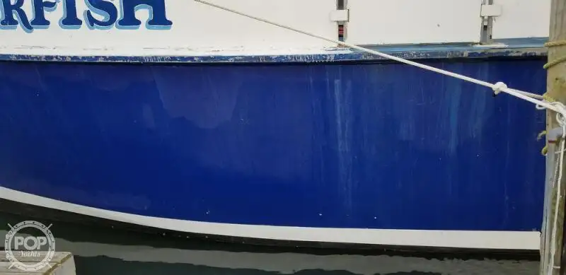 Catamaran te koop