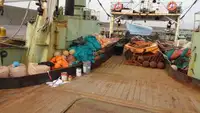 Trawler te koop