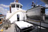 Baggeraarschip te koop