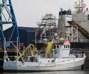 Containerschip te koop