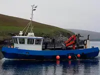 Werkboten Te koop