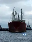 Koelschip te koop