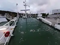 Bulkcarrier te koop
