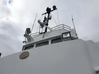 Werkboten te koop