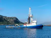 Sleepboot Te koop