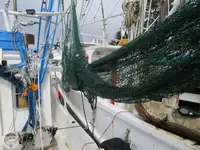 Trawler te koop