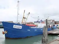 Barge te koop