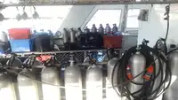 Catamaran Te koop
