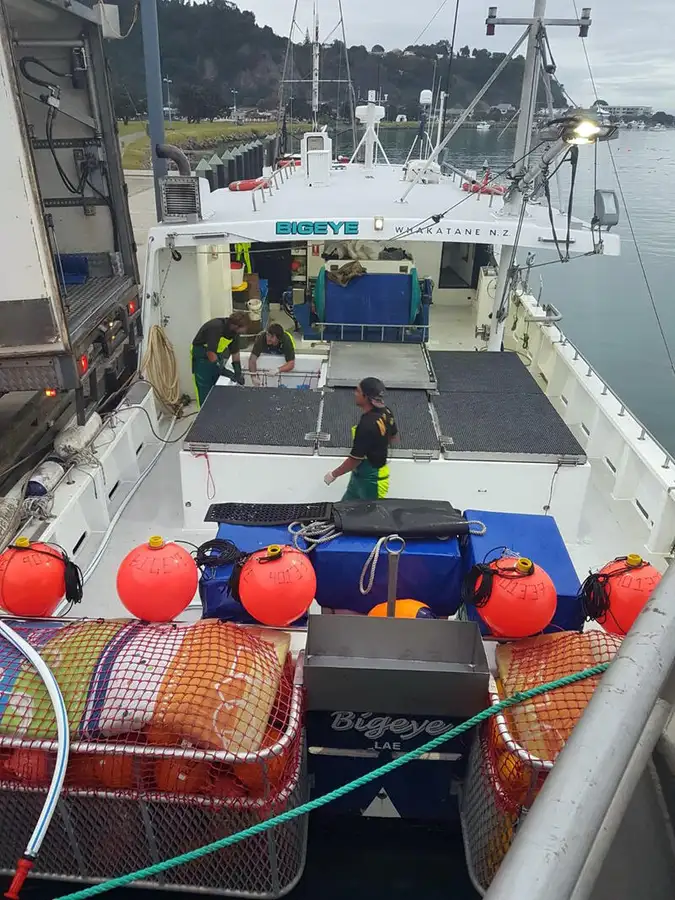 Langlijnschip te koop