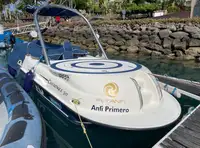Cruise schip Te koop