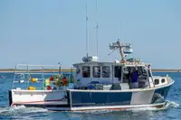 Purse seiner Te koop