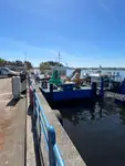 Werkboten te koop
