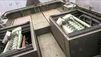 Sleperschip te koop