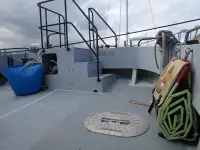 Catamaran te koop