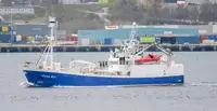 Purse seiner Te koop