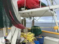 Trawler te koop