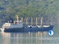 Koelschip te koop