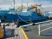 Trawler Te koop