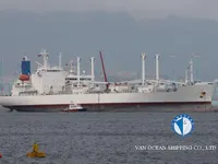 Koelschip te koop