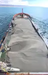 Containerschip te koop
