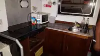 Catamaran te koop