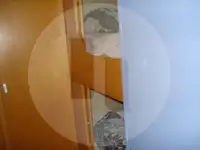 Beurtvisser te koop